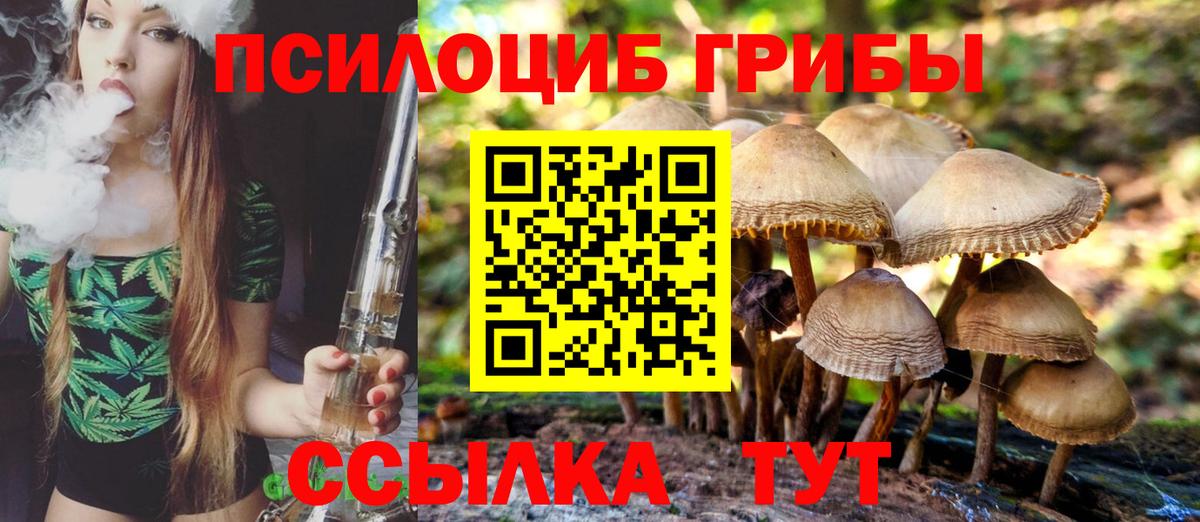 Галлюциногенные грибы прущие грибы  Вход с VPN  Волхов  Псилоцибиновые грибы мицелий 