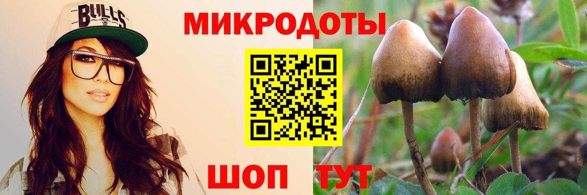 Галлюциногенные грибы мицелий Волхов
